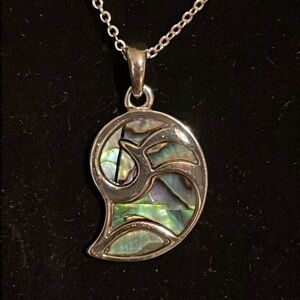 Abalone Seashell Pendant Silver Tone 16” Chain
